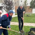 Campania Navodari oras verde 2