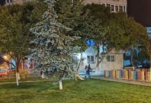 Acțiune de dezinsecție terestră în orașul Năvodari, în perioada 09–15 iunie 2026