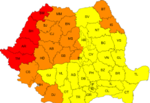 COD GALBEN în Dobrogea și pe litoral, 04 august, ora 10:00 – 05 august, ora 10:00
